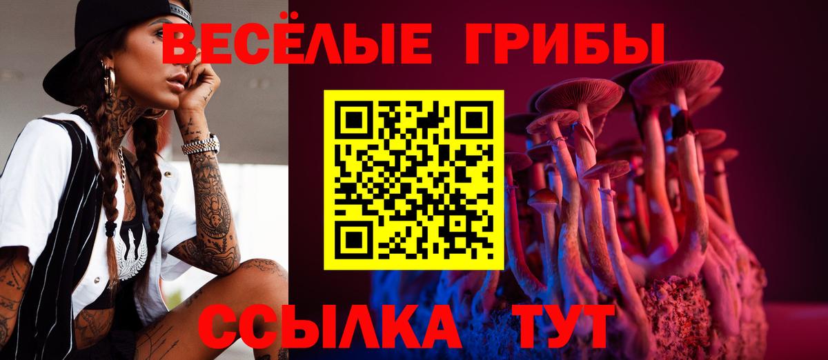 Галлюциногенные грибы MAGIC MUSHROOMS  Вход с VPN  Семилуки 
